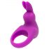 Kit Vibrador Happyrabbit - Anillo con bolsa (lila)