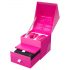 We-Vibe Chorus - vibrador duo inteligente rosa