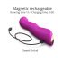 Love to Love Swap - vibrador de punto G con pulsos recargable (lila)