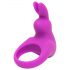 Anillo vibrador púrpura Happyrabbit Cock